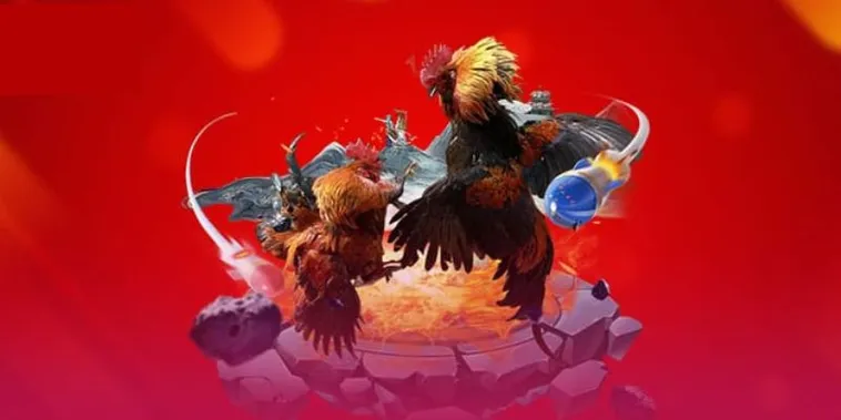 Khám Phá Sảnh Đá Gà Sodo6789 Đỉnh Cao Cùng Kèo Cược Hấp Dẫn