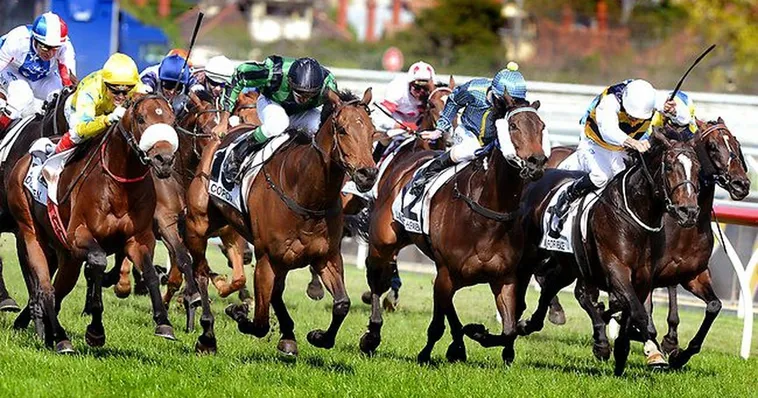 Khám Phá Cá Cược Đua Ngựa Sodo6789 Và Bí Quyết Về Đích 2 Khám Phá Cá Cược Đua Ngựa Sodo6789 Và Bí Quyết Về Đích