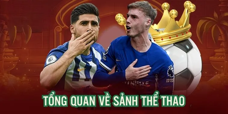 Khám Phá Thế Giới Thể Thao Sodo6789 Sôi Động Và Đẳng Cấp